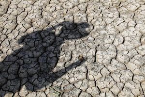 The case of an intense drought